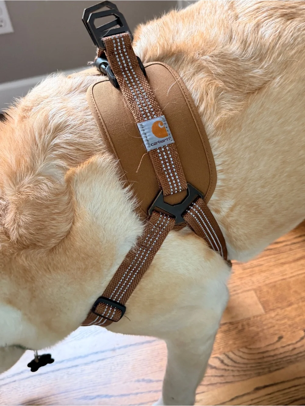 Carhartt Tan Dog Harness